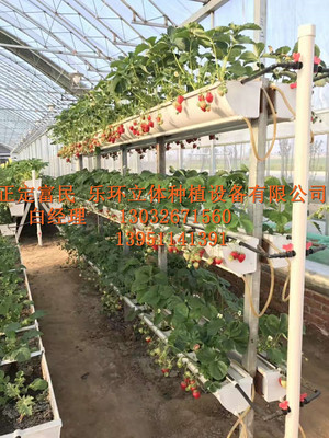 18新品立体草莓种植槽 价格、厂家及大棚设施全解析
